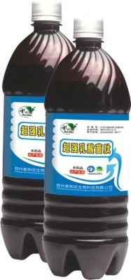 超強乳酸菌肽